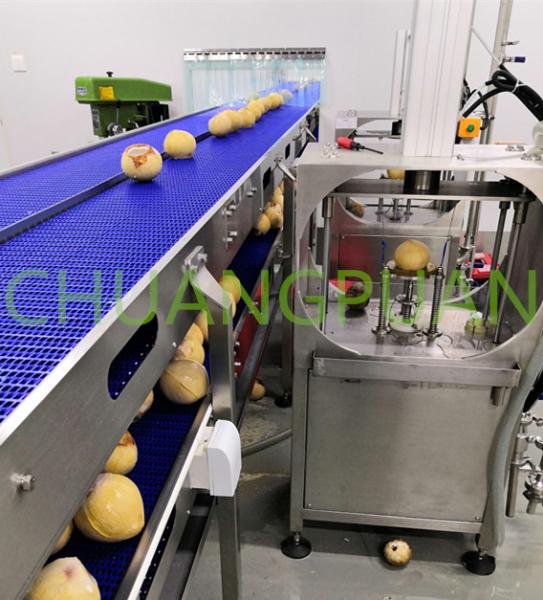 Milk Coconut Processing Machine With 304 Stainless Steel