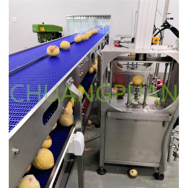 Flexible Automatic Coconut Water Machine Stainless Steel