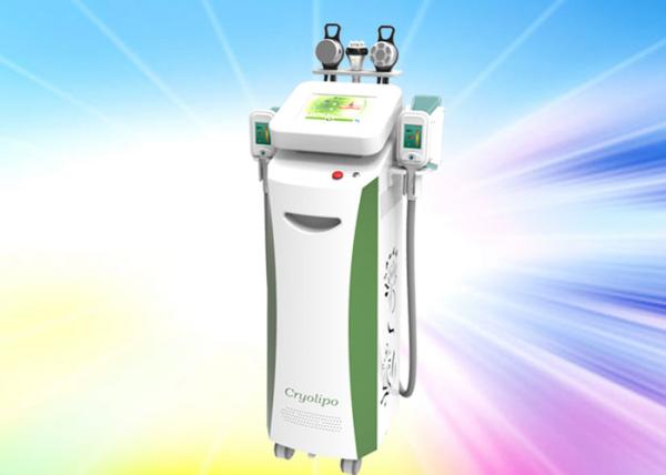 September promotion Multi-Function Cryolipolysis Slimming Machine Cryotherapy Fat Burning