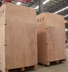 Ginger cleaning machine taro cleaning machine bubble cleaning line