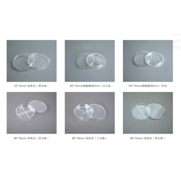Disposable 6 Well Cell Culture Plate TCT Polystyrene Petri Dish