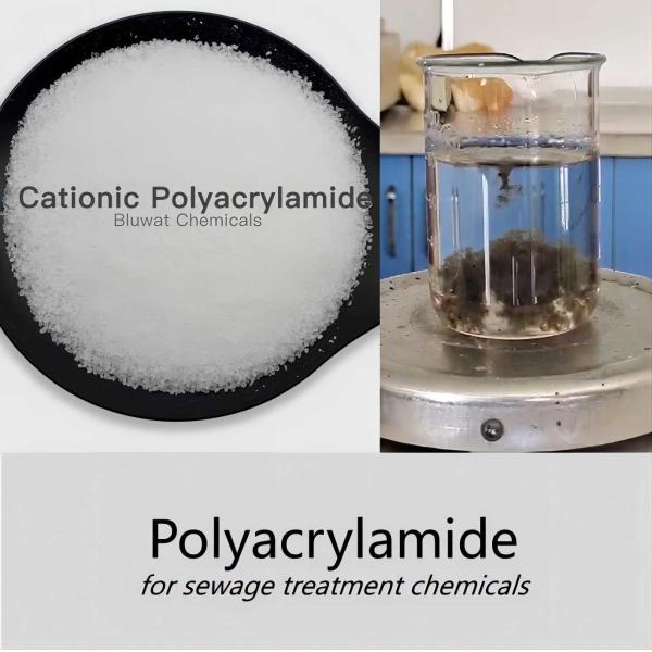 Chemicals Cationic Polyelectrolyte Flocculants Sludge Dewatering Sewage Treatment