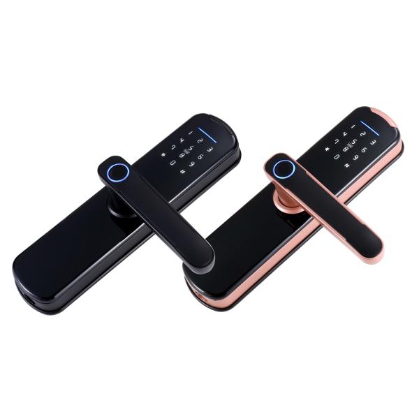 35mm-50mm Anti Theft Intelligent Electronic Lock Tuya Fingerprint Lock