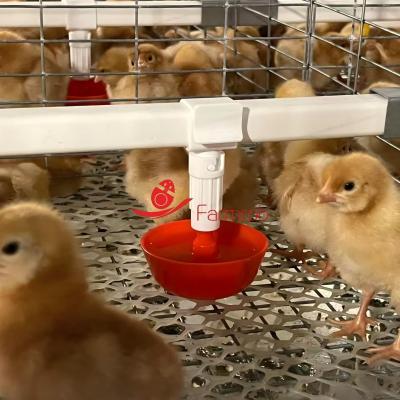 30000 Pullet Poultry Cage System With Spring Door