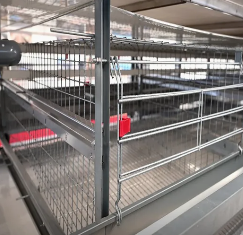 Hot-Dip Galvanized Steel Automatic Chicken Cage with 15-20 Year Lifespan and Automated Feeding System