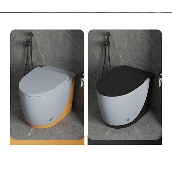 Биде Wc электрического санитарного Bathroom шара туалета деталей керамического умное умное