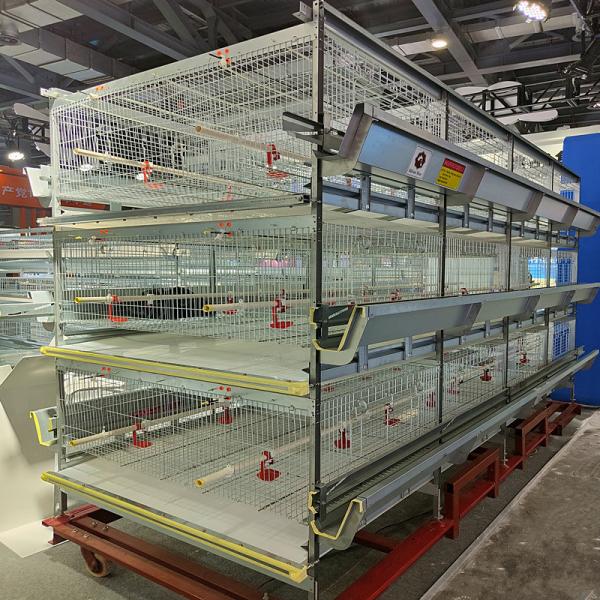 H Quadro Bateria Broiler Caixa de Frango Galvanizado Quente Rede de Arame de Aço