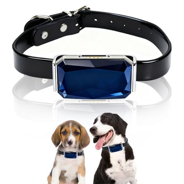 Black Leather Dog Collar for Dogs Blue Gem Shaped GPS Tracker Adjustable Metal Buckle Real Time Tracking