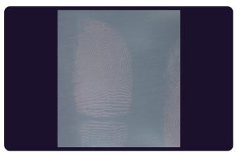C205 BTDM-Ⅰ Vacuum coating fingerprint developing instrument