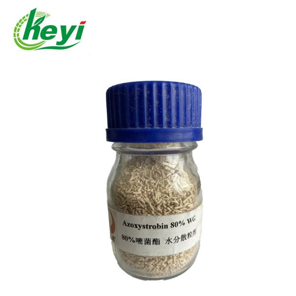 131860-33-8 Anthracnose 80% WG AZOXYSTROBIN Fungicide For Cucumber Plants