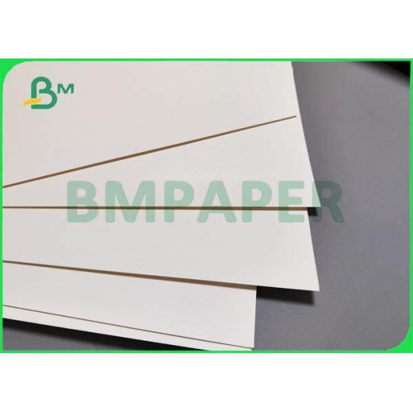 бумага кофейной чашки PE 260gsm + 15g на горячие напитки 735mm 780mm Biodegradable