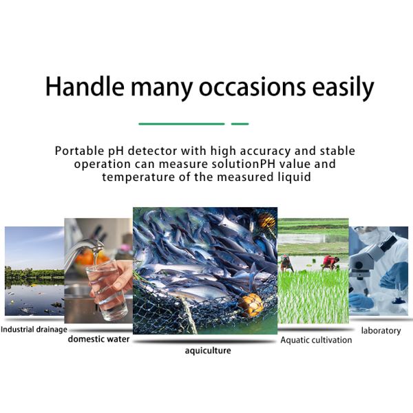 Online Portable Water Quality Analyzer PH ORP Tester ODM