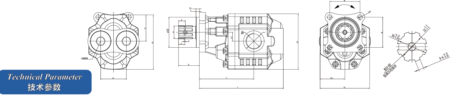 CBHST1-30 Series Hydraulic Pumps for Dump Trucks, Cranes, Aerial Platforms, and Municipal Vehicles