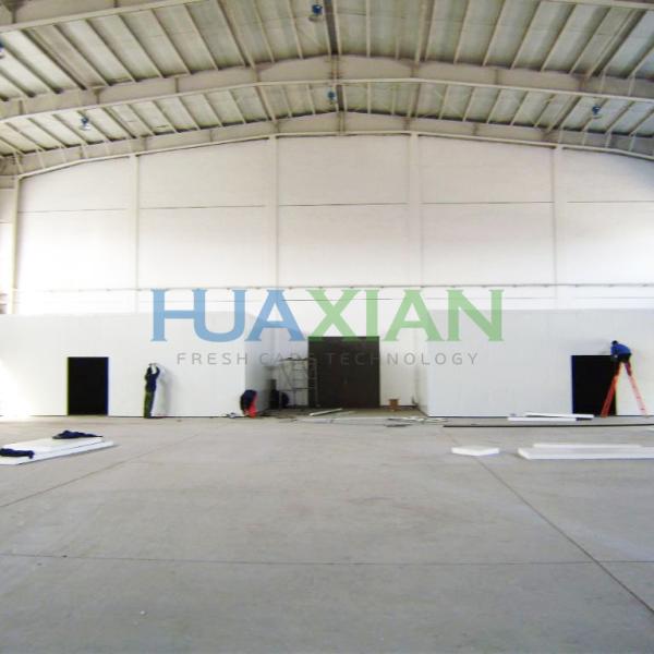 Industrial Logistics Fish/Seafood/Meat/Chicken Freezer Cold Room Construction for Frozen Food
