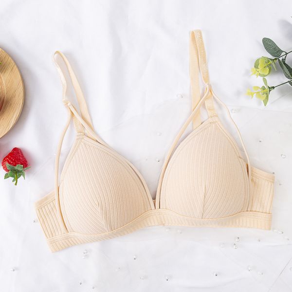 New Design Wholesale Bra for Women Women's Underwear Bulk Bra Women Explosive Models