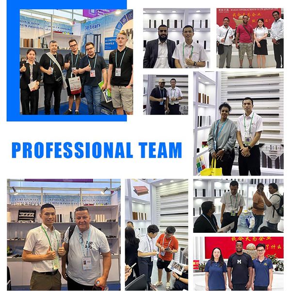 Natural Bronze Anodized Window Profile 6063 T6 for Sliding Systems