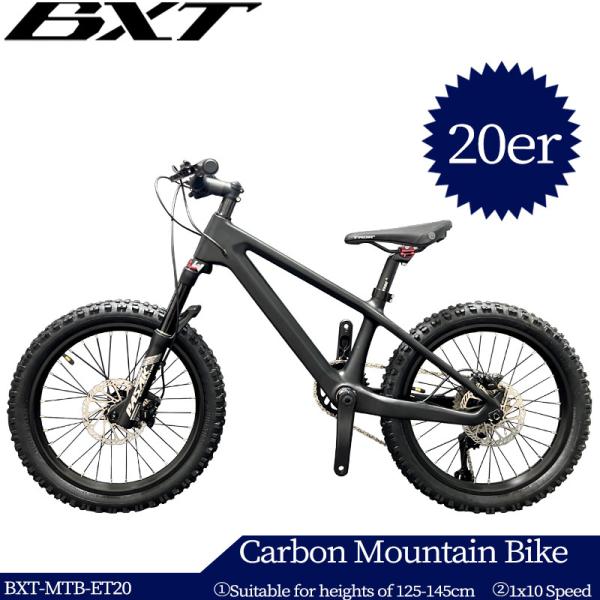 20er Kids Mountain Bike Disc Brake Shimano 10 Speed Bicycle For Children