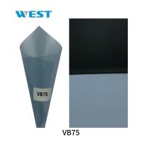 Lightweight Transitional Auto Window Tint Dynamic Light Adjusting Photochromic Tint Film
