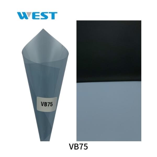 Lightweight Transitional Auto Window Tint Dynamic Light Adjusting Photochromic Tint Film