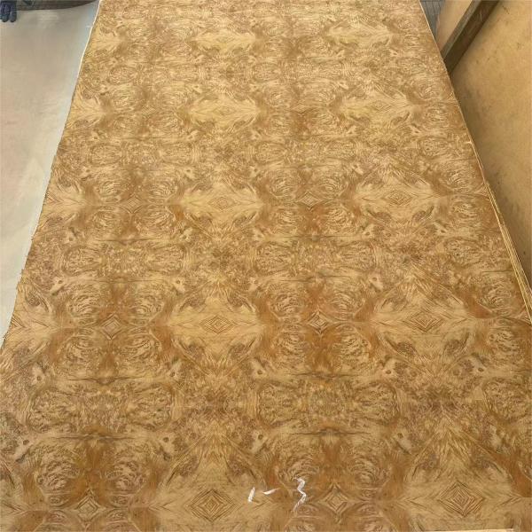 Золотая мадонна бурл фанера 4 * 8 футов высокого класса Золотая мадонна бурл фанера Мебель Стенные панели Дверь Деревянная фанера