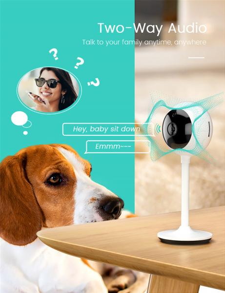 Manufacturer 1080p Indoor Outdoor Fixed Camera Two Way Audio Smart Motion Detection Mini Camera