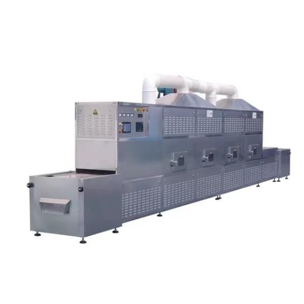 Industrial 30KW food flower seeds fruit tunnel microwave dryer drying machine
