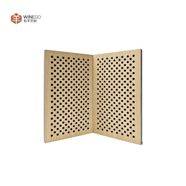 Architectural Perforated Acoustic Panel Ceiling & Wall Installation for Auditoriums