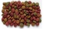 bone meal catfish tilapia feed pellet pet food cat dog bird making equipment for home