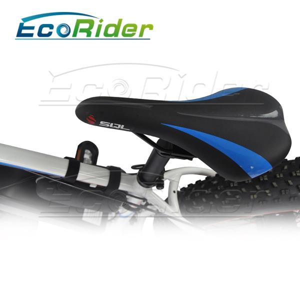 26 Inch Tires 2 Wheel Electric Bike Outdoor Off Road Dirt Electric Snowmobile Bikes High Speed