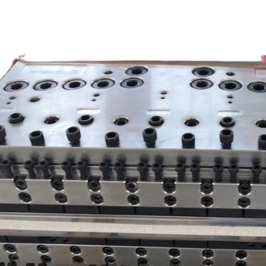 1 Cavity Flat Die for PP Hollow Construction Building Formwork Architecture Mould