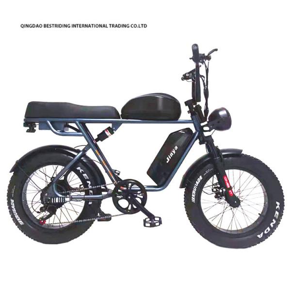 20 Inch Fat Tire Ebike 48V 1000W Electric Mountain Bike For Eco-Friendly Commuting