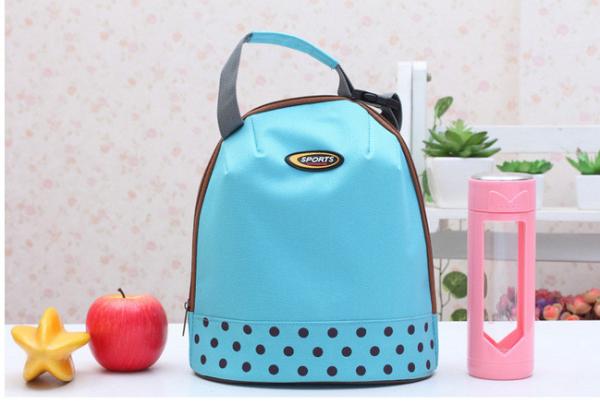 Insulated Soft Cooler Picnic Lunch Box Tote Bottle Bag Freezer Tote Handbag
