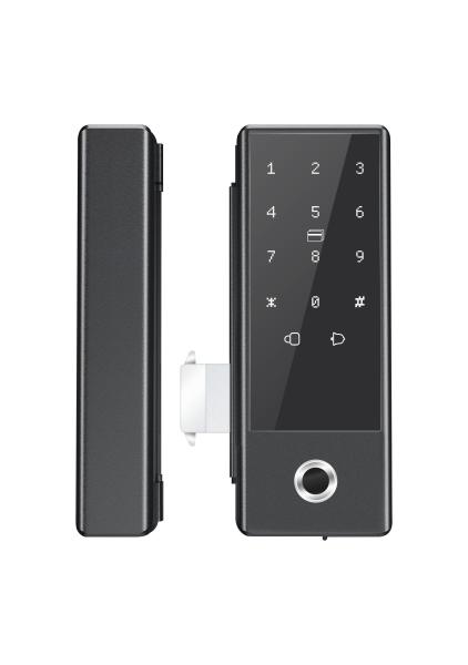 Qleung Glass G10s Tuya Wifi TTlock App Cerradura Code d'empreinte digitale intelligente et carte clé avec verrouilleur de porte à la maison