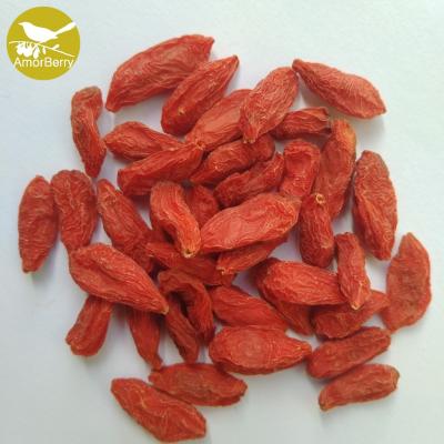EU standard High Quality Bulk Chinese  Wolfberry/Goji berry/red medlar From Factory
