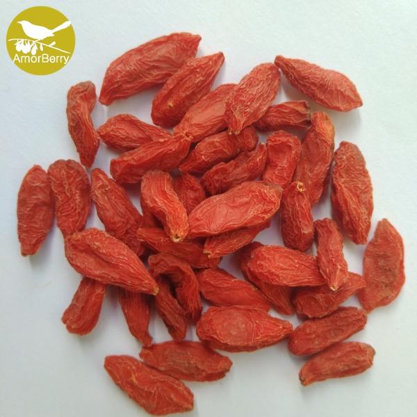 EU standard High Quality Bulk Chinese  Wolfberry/Goji berry/red medlar From Factory