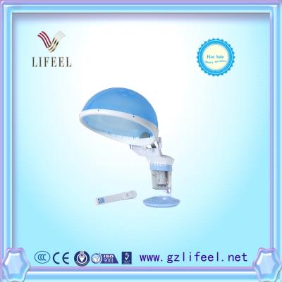 Mini 2 in 1 Face and Hair Steamer for household use home use beauty equipment