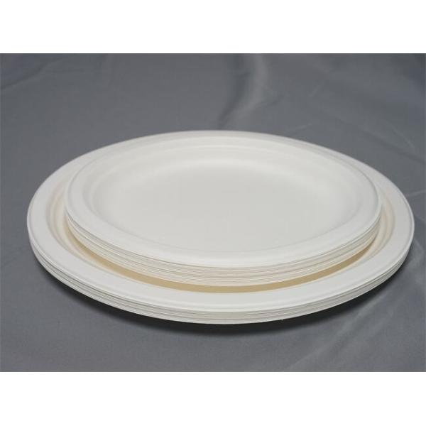 10" ou 12,5 » plats biodégradables ovales de bagasse de canne à sucre