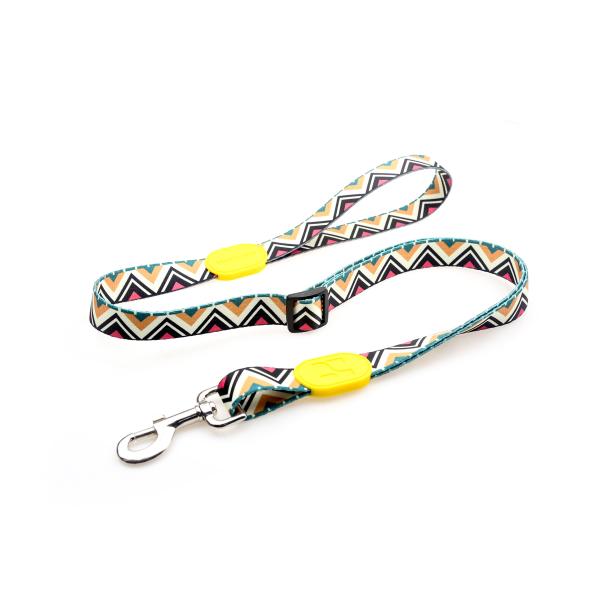 0.9m 3 Foot Halloween Anti Pull Dog Leash Accessories Heavy Polyester Rope Totem