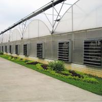 Estufa do período do arco dobro alto da luz solar multi para a plantação dos vegetais