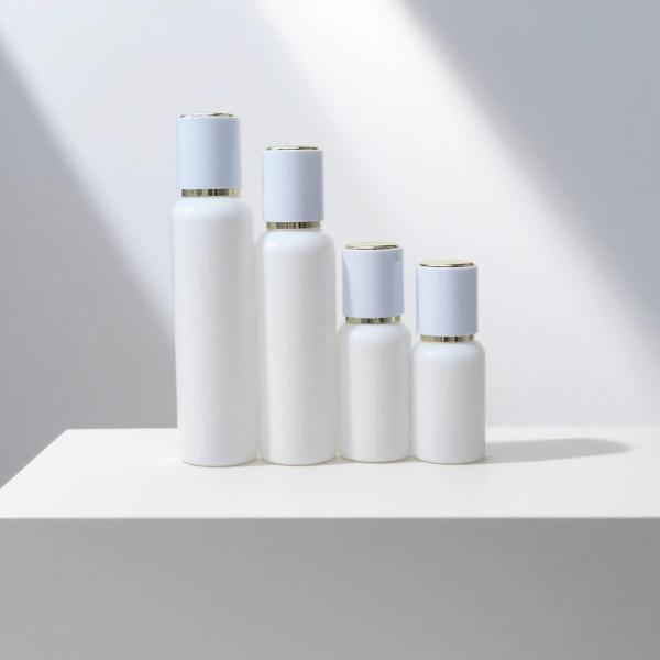 Factory Price 50ml 100ml 120ml Glass Lotion Packaging Empty White Lotion Pump Glass Bottle Skin Care Cream Body Set