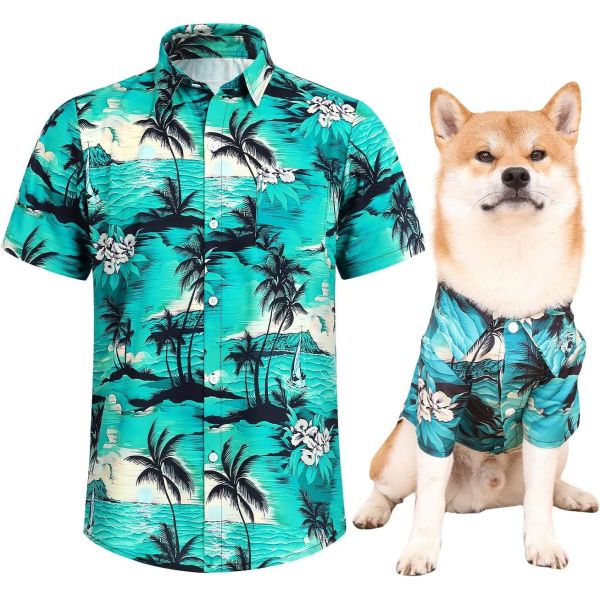 Vêtements pour chiens, technologie portable, respirant, protection UV, anti-allergie