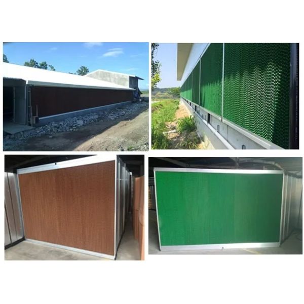 Low Cost Automatic Poultry Equipment with Feed Delivery, Ventilation, and Cooling Systems