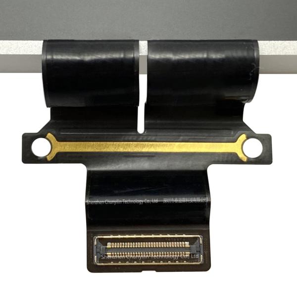MacBook Pro 16 Assemblée d'affichage LCD - A2780 2023 M2, EMC8103 gris spatial