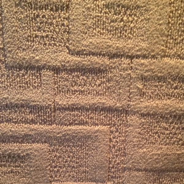 Противостатический ресторан Халл отрезал и ковер кучи петли с шириной 3.66м/4м