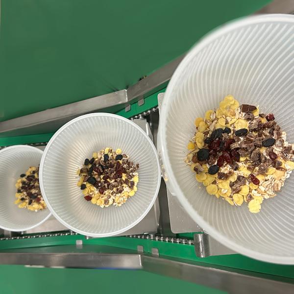 Automatic Multihead Weigher for Parrot Food Packing 2.5kg