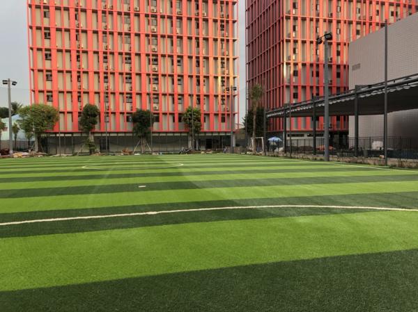 55mm Synthetic Artifical Soccer Grass Detex 11000 Good Stiffness