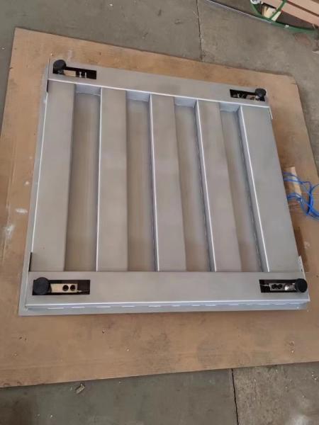 1000 kg 1X1m en acier inoxydable 304 Balance hygiénique de plancher