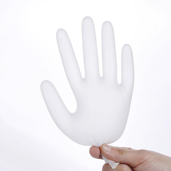 Powder Free Disposable Vinyl Gloves For Foodservice Handling Transparent  1000PCs/CTN