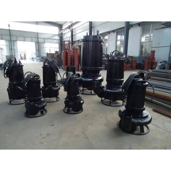 Duck Farm Slurry Submersible Pump SS304 With Head Up To 80 Meters Offering Performance in Demanding Slurry Applications