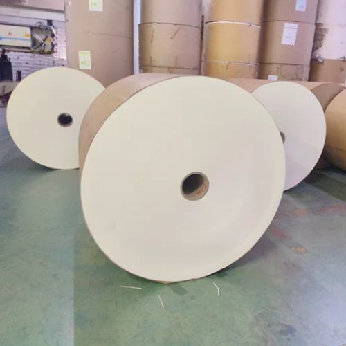 Single PLA Coated Cup Bottom Paper in Roll White Paper Roll for 100% Biodegradable Paper Cups Bottom Rolls